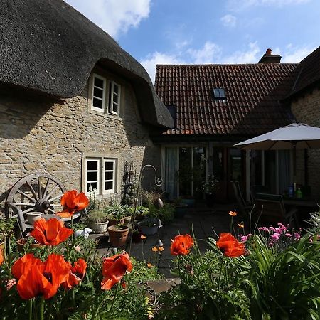 Thatch Cottage Lacock Eksteriør bilde