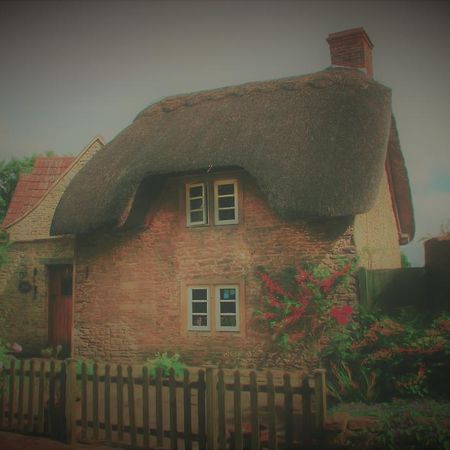 Thatch Cottage Lacock Eksteriør bilde