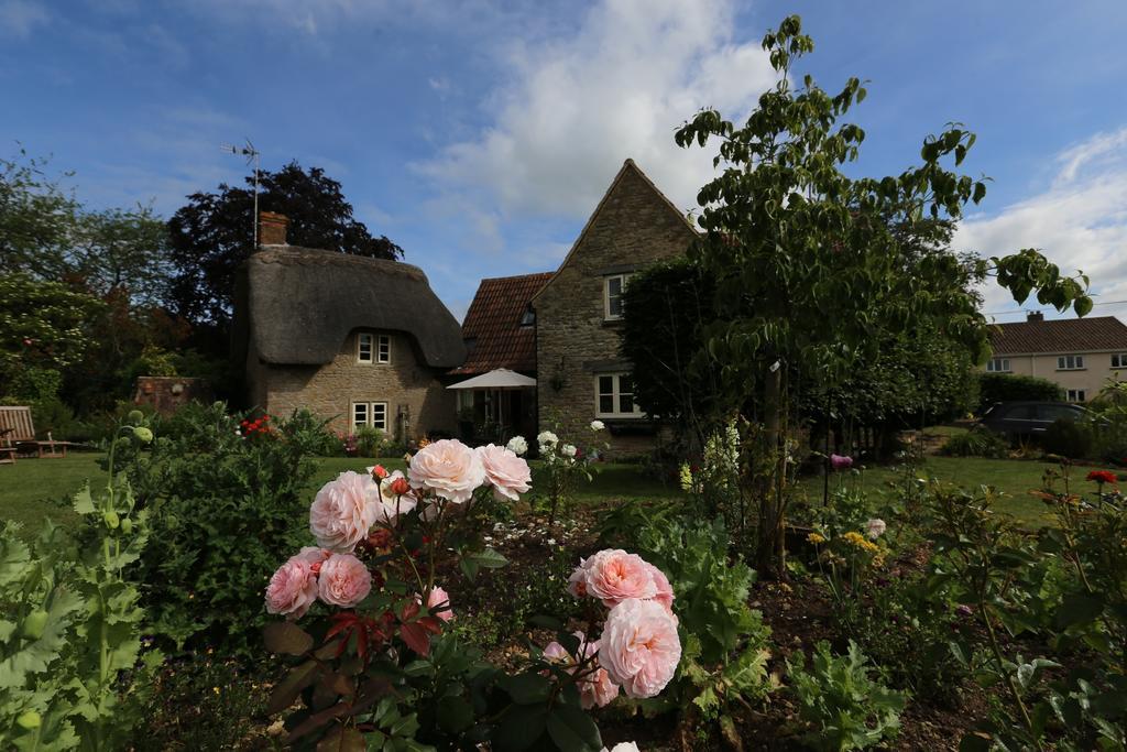 Thatch Cottage Lacock Eksteriør bilde