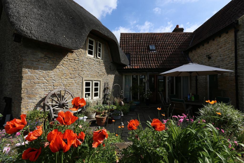 Thatch Cottage Lacock Eksteriør bilde