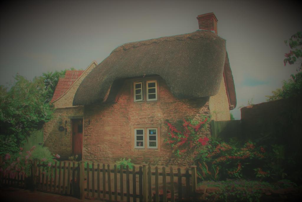Thatch Cottage Lacock Eksteriør bilde